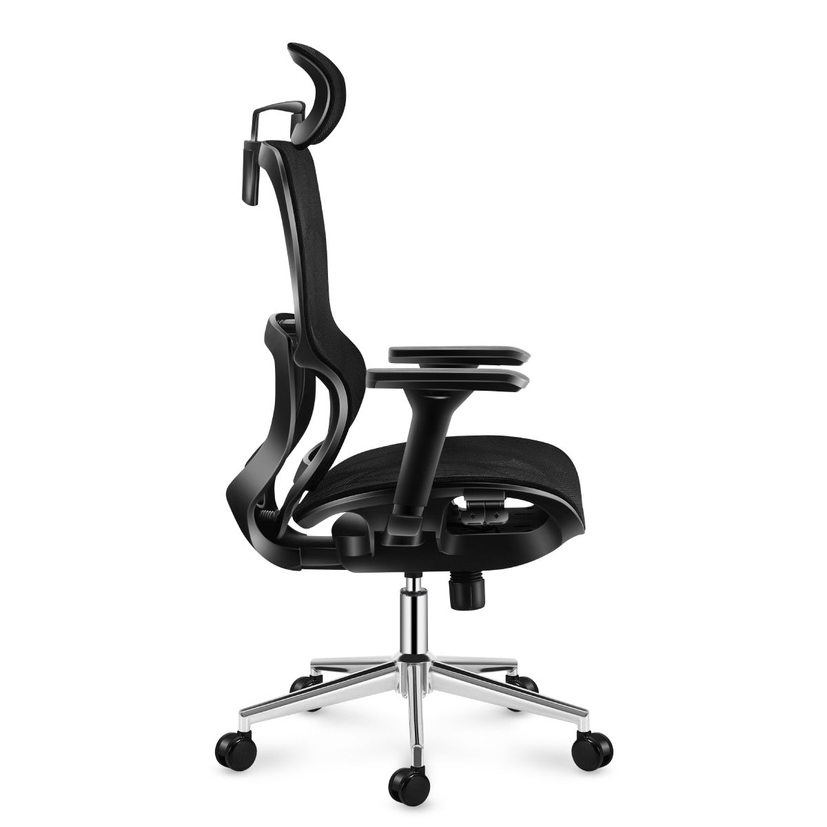 Expert 6.2 fotoliu